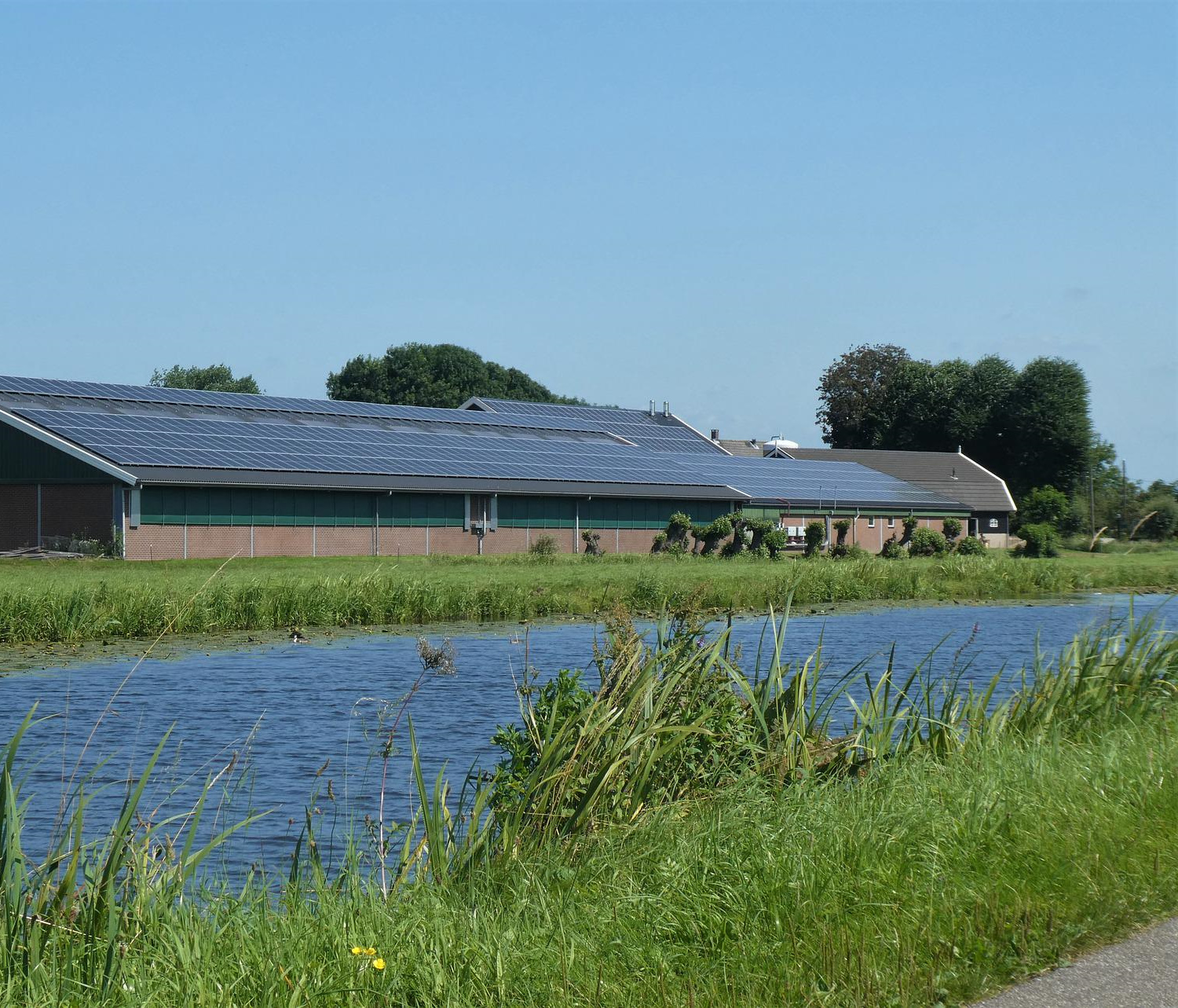 Boerderij zonnepanelen cooperatie