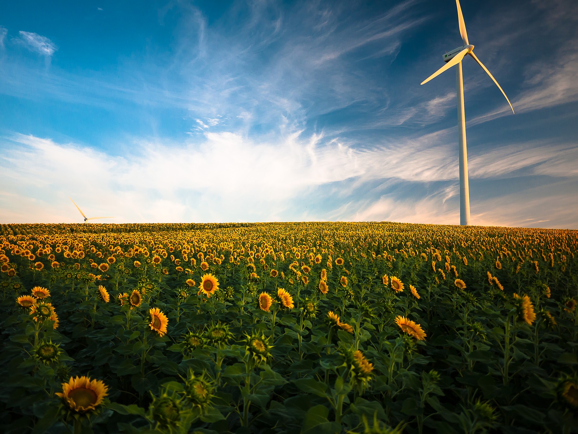 Gemeenteraad Maasdriel zet stoplicht voor burgerwindpark A2 Lage Rooijen op groen!