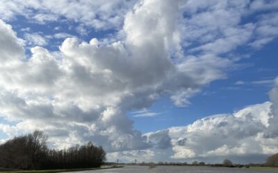 Groene Bubbel(s) Borrel in 2024